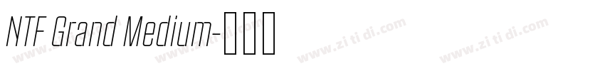 NTF Grand Medium字体转换